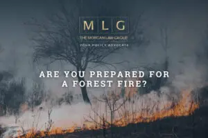 Are You Prepared for a Forest Fire