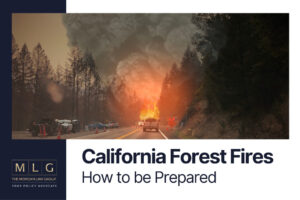 California forest fires