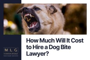 How Much Will It Cost to Hire a Dog Bite Lawyer