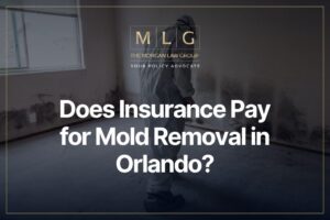 Does Insurance Pay for Mold Removal in Orlando