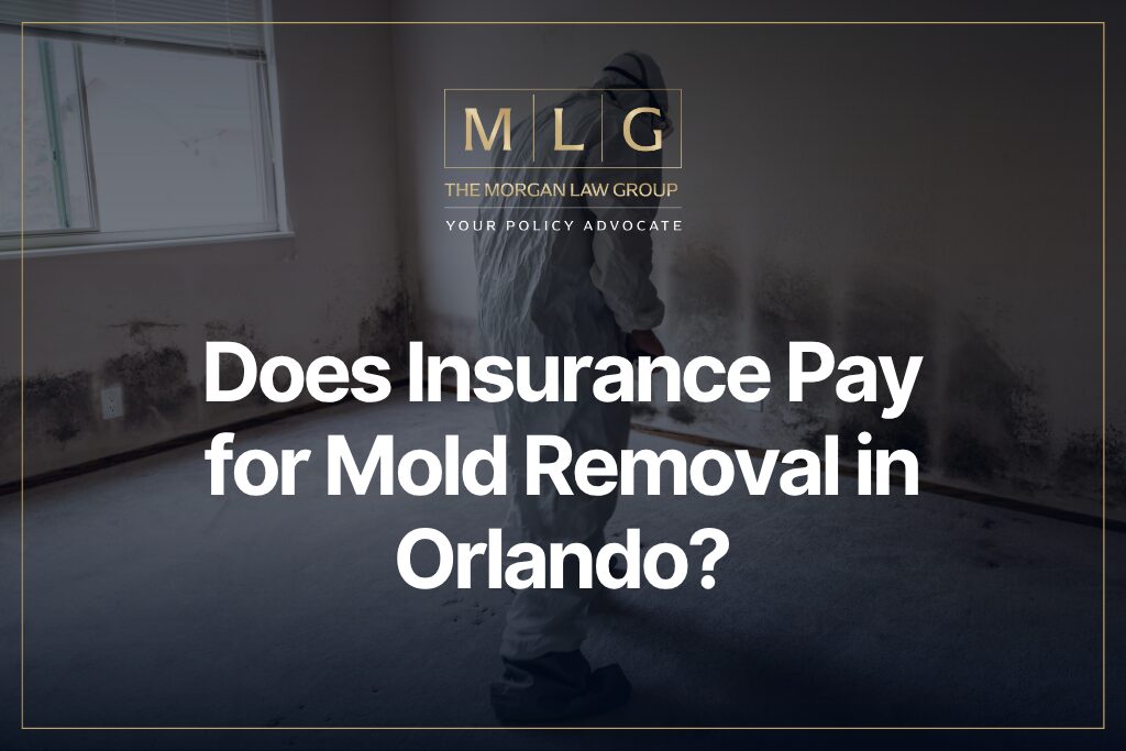 Does Insurance Pay for Mold Removal in Orlando